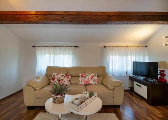 Apartman Viki Stinjan *