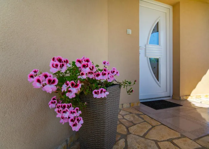 Viki Stinjan Apartman Póla