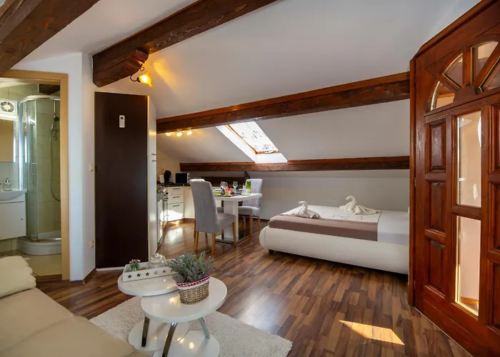 Viki Stinjan 아파트 *