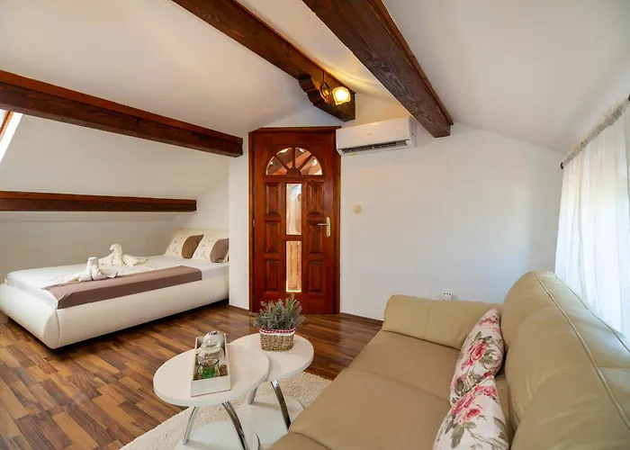 Apartman Viki Stinjan *