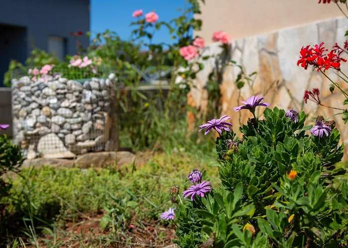 아파트 Viki Stinjan