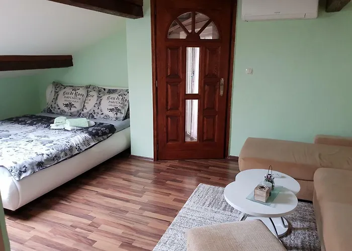 Viki Stinjan * 풀라