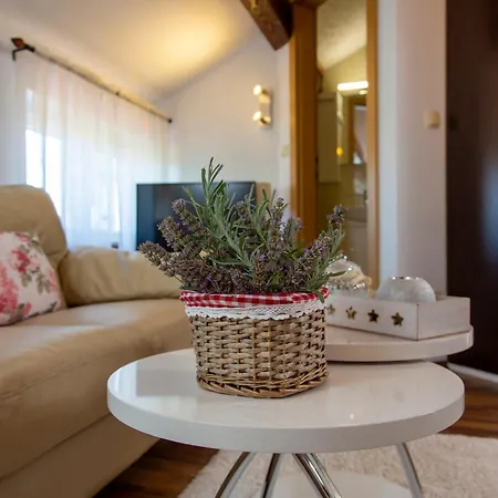Apartment Viki Stinjan *