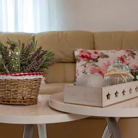 Viki Stinjan Apartment *