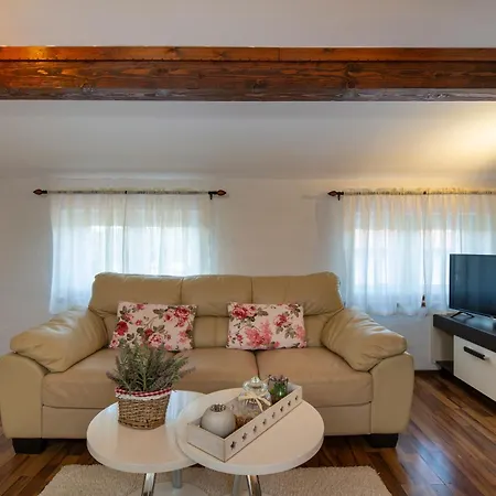 Apartment Viki Stinjan *