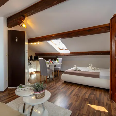 Viki Stinjan Apartment *