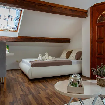 Apartment Viki Stinjan
