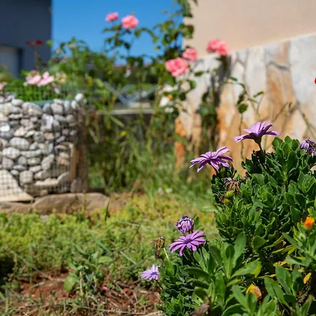 Apartment Viki Stinjan